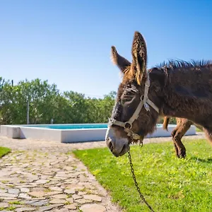Burro Séjour à la ferme Portimão